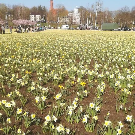 Апартаменты Butas Vilniaus Alejoje Друскининкай Экстерьер фото